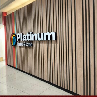 Wallpanel Plaza Platinum